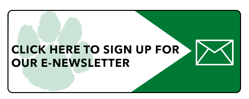 Form to sign up for e-newsletter 